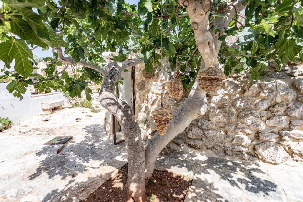 Trullo Santovia Acomodação com café da manhã Sant Isidoro  Exterior foto