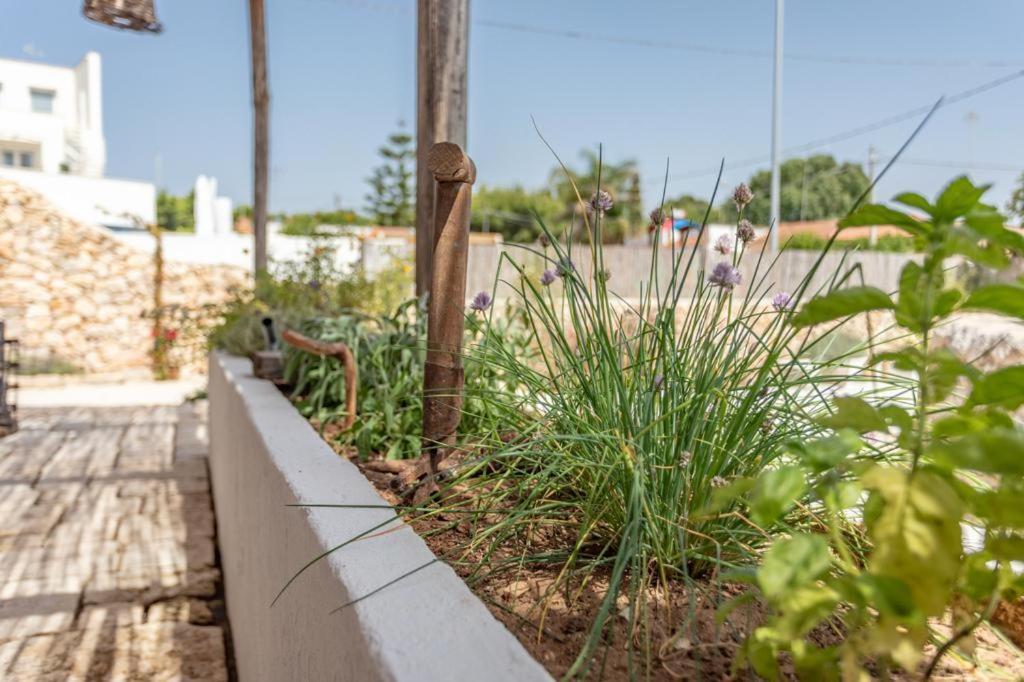 Trullo Santovia Acomodação com café da manhã Sant Isidoro  Exterior foto